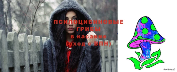 прущая мука Аркадак