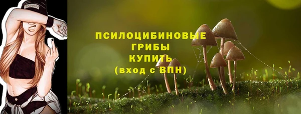 мет Армянск
