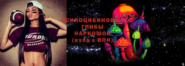 герыч Арсеньев