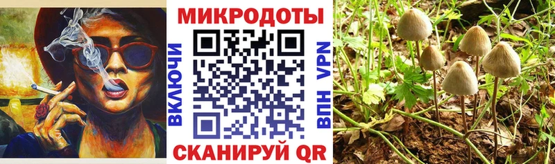 сайты даркнета Telegram  что такое   Болотное  Галлюциногенные грибы прущие грибы 