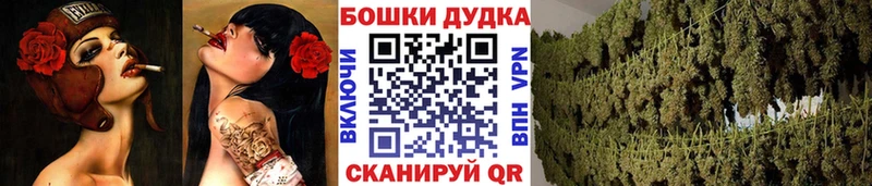 купить   мега ССЫЛКА  Каннабис OG Kush  Болотное 